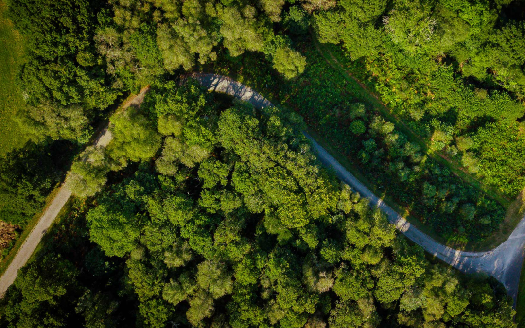 Projet de séquestration du carbone – Forêt de Langonnet 2