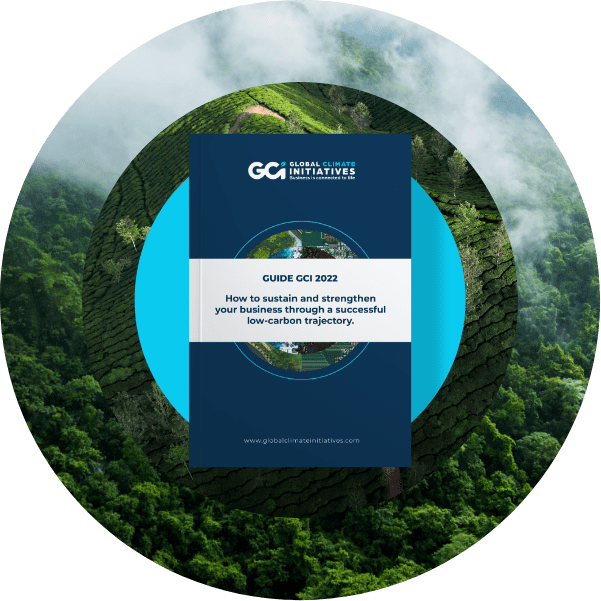 Decarbonation purchases guide GCI