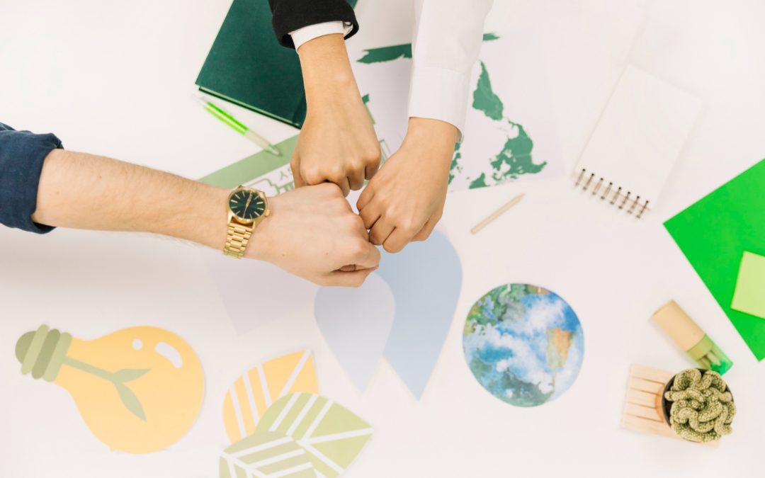 En quoi la stratégie bas-carbone de mon entreprise créée t-elle de la valeur ?