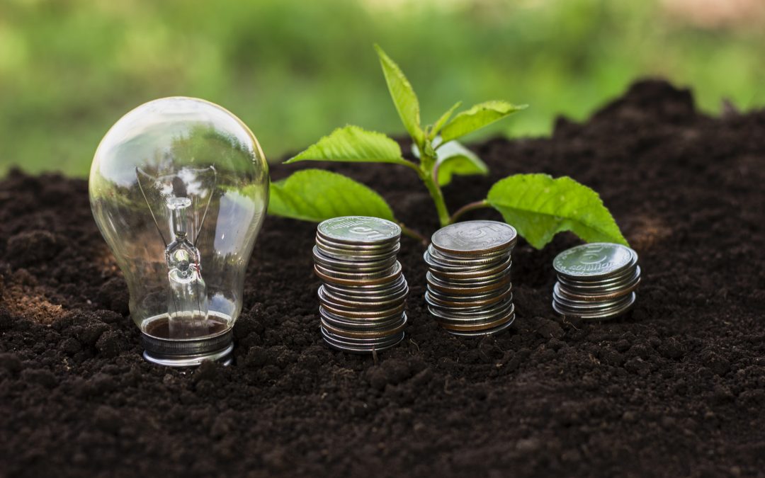 Définition et bonne utilisation du « Crédit carbone »