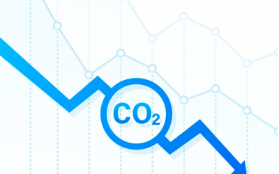 Define and manage your company's low-carbon trajectory