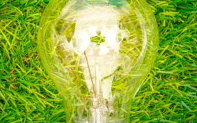 3 tips to reduce your company's carbon footprint