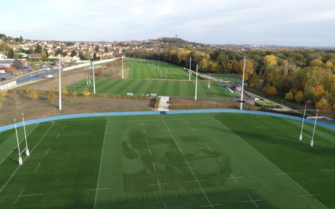 Natural Grass