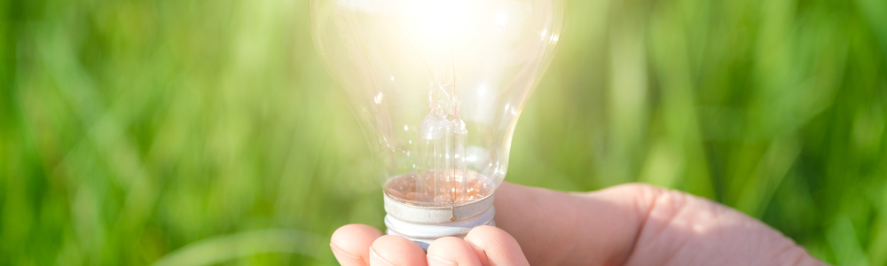 Électricité verte